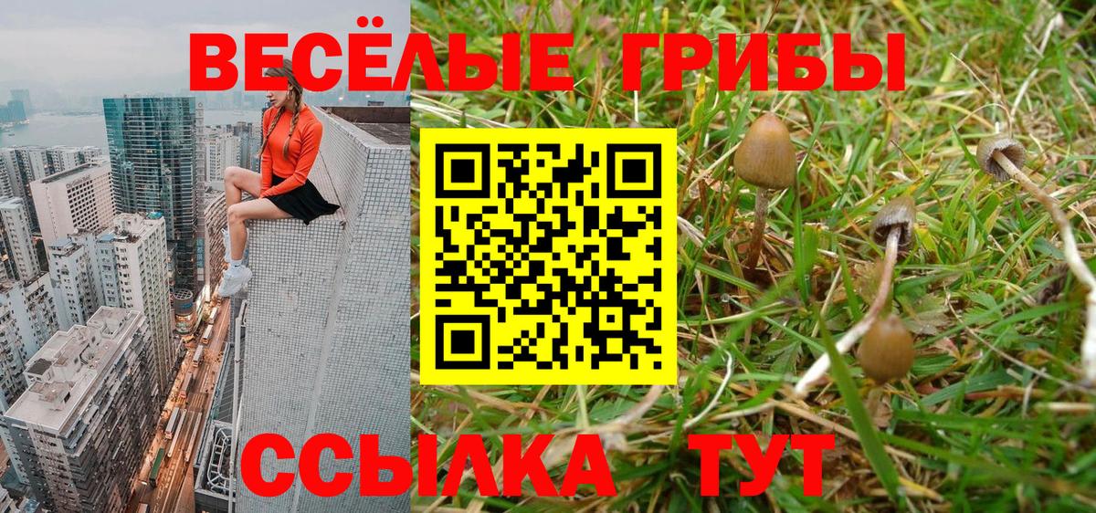 Псилоцибиновые грибы Cubensis Дубна